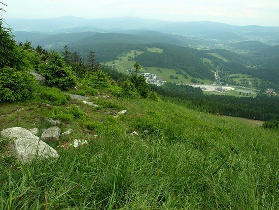 Termy Białka
